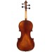 AMIGAS SET 104 Viola 16