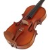 BACIO INSTRUMENTS Student Violin (GV103F) 1/ 2