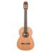 Cascha HH 2139 EN Classical Guitar 4/4 Bundle