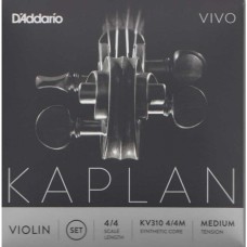 Kaplan Vivo violin SET