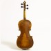 STENTOR Viola 15.5” (4/4), Handmade Pro Series “Arcadia”